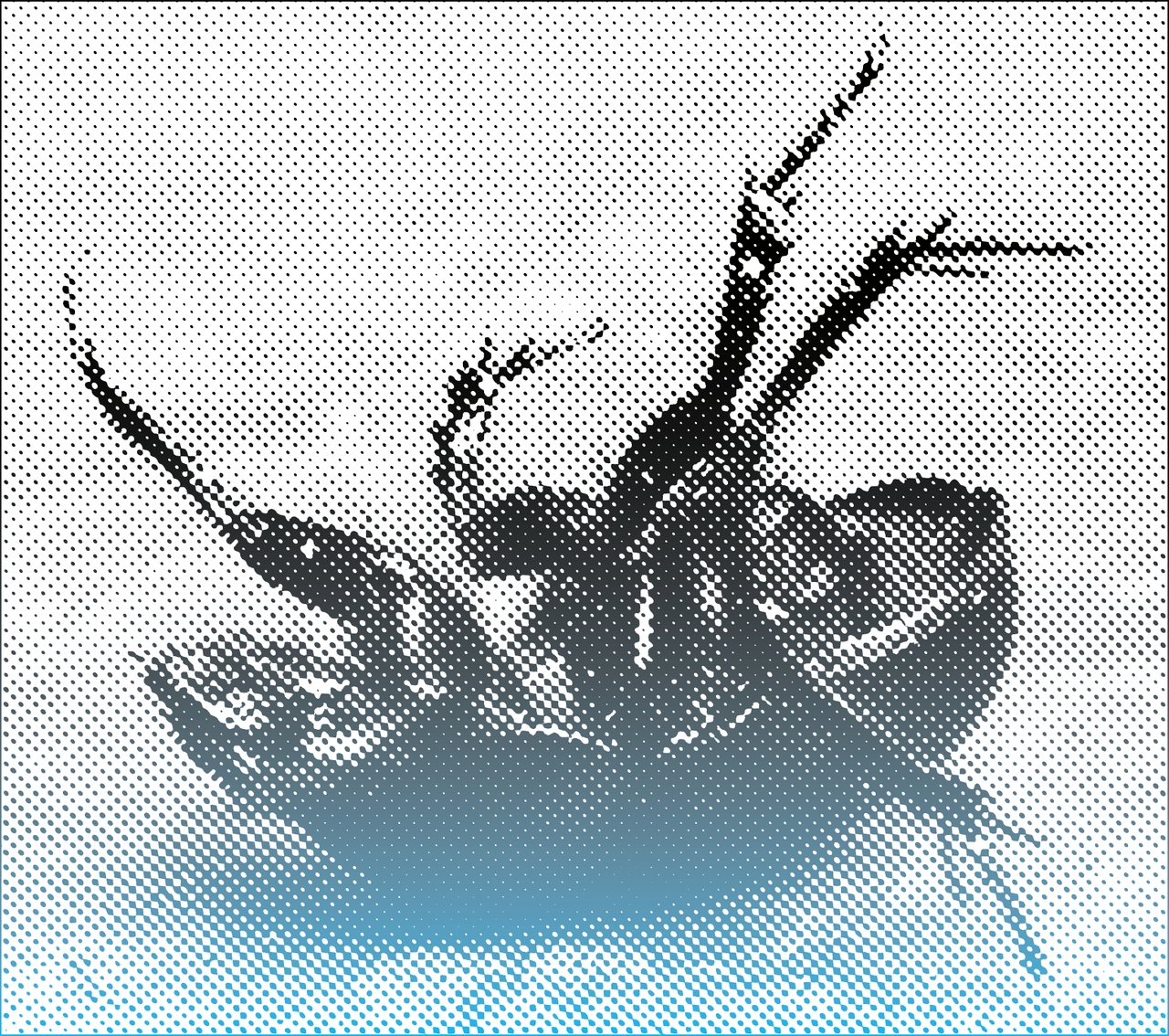 cover by ralph schraivogel